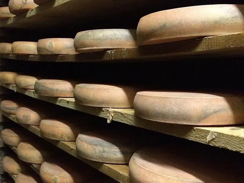 Affinage morbier près de Dole