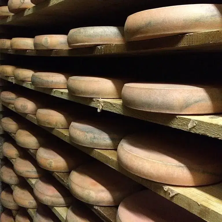 Affinage morbier près de Dole